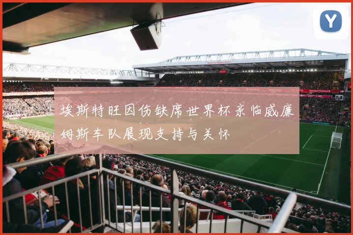 埃斯特旺因伤缺席世界杯亲临威廉姆斯车队展现支持与关怀