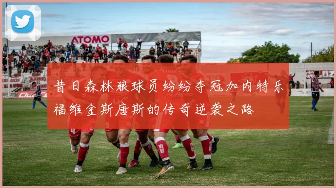 昔日森林狼球员纷纷夺冠加内特乐福维金斯唐斯的传奇逆袭之路
